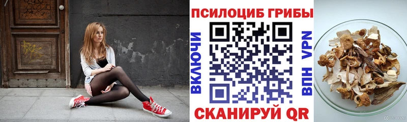 Псилоцибиновые грибы Cubensis наркота Вихоревка